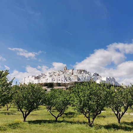 Casa Dei Levantini, Sea View, Wonderful Terrace In Old Town Ostuni Exterior foto