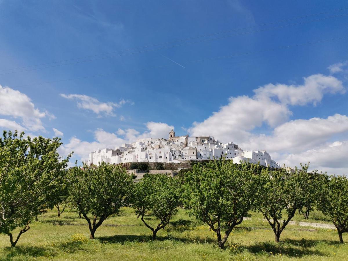 Casa Dei Levantini, Sea View, Wonderful Terrace In Old Town Ostuni Exterior foto